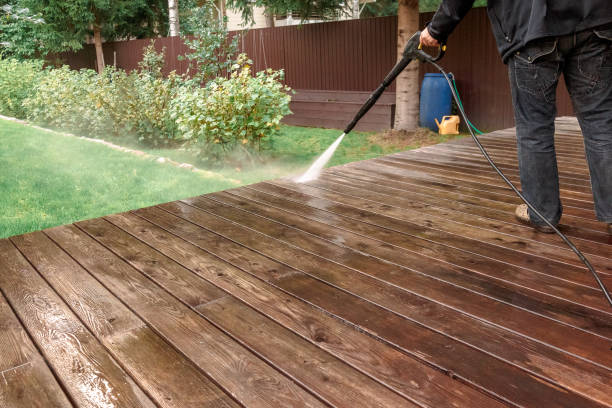 Best Solar Panel Cleaning  in Redwater, TX
